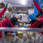 Wessel de Groot Fotografie