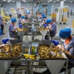 Food-for-Thought_VPRO_2024_afl-China_-c-Kadir-van-Lohuizen