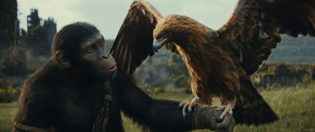 KINGDOM OF THE PLANET OF THE APES