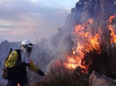 Metropolis: Als de brandweer