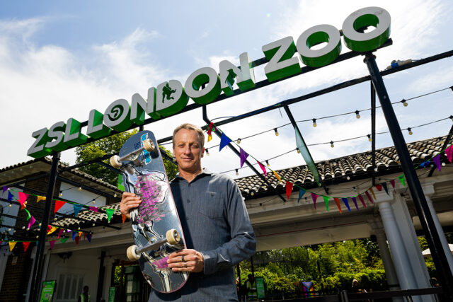 Tony Hawk at London Zoo