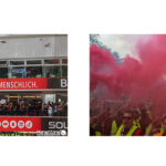 bayer2