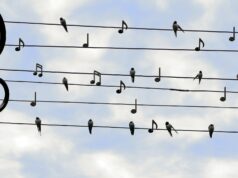 Duizenden zangers zingen Bach vanuit woonkamer met kerst