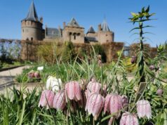 Voorjaarsvakantie bij Rijksmuseum Muiderslot
