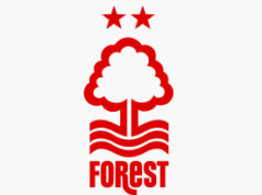 Nottingham Forest neemt afscheid van trainer Ange Postecoglou na zware nederlaag