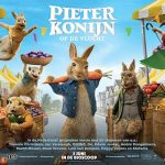 pieterkonijn
